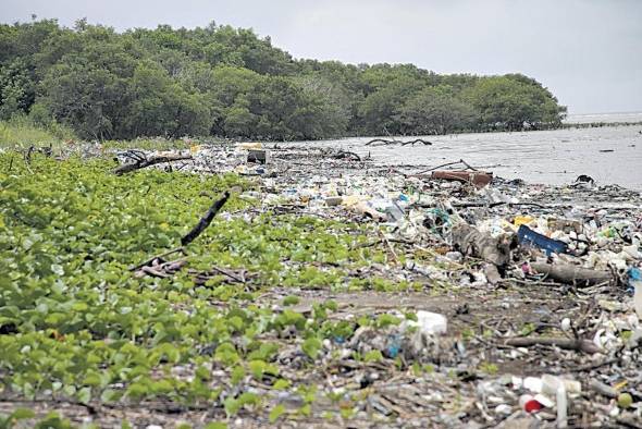 La acumulación de desechos en el océano, además de impactar el nivel del mar también afecta la biodiversidad. La acumulación de desechos en el océano, además de impactar el nivel del mar también afecta la biodiversidad.