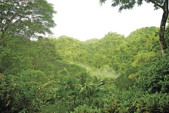 En la PreCOP25 en Costa Rica, el tema las soluciones al cambio climático basadas en la naturaleza fue una de las discusiones principales. En la PreCOP25 en Costa Rica, el tema las soluciones al cambio climático basadas en la naturaleza fue una de las discusiones principales.