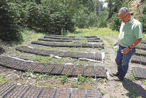En Panamá, la provincia de Chiriquí es la mayor productora de café y de donde proviene uno de los mejores cafés de especialidad del mundo. En Panamá, la provincia de Chiriquí es la mayor productora de café y de donde proviene uno de los mejores cafés de especialidad del mundo.