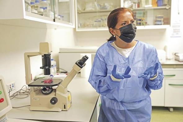 La doctora Zuleima Caballero es la autora de la investigación. La doctora Zuleima Caballero es la autora de la investigación.