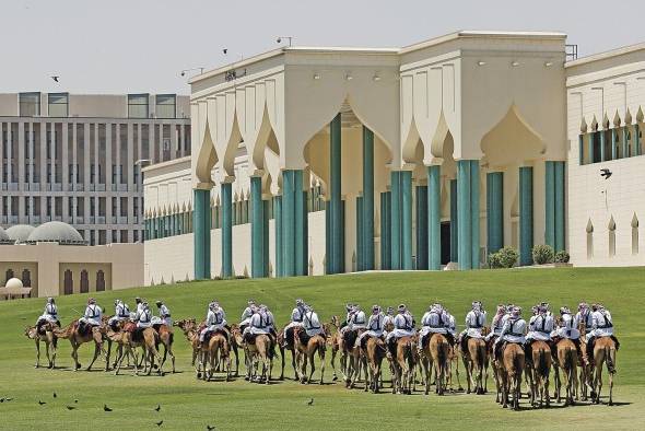 Miembros de la Guardia Nacional de Catar ejercitan a sus dromedarios ante el Emiri Diwan (palacio del emir), en Doha. Miembros de la Guardia Nacional de Catar ejercitan a sus dromedarios ante el Emiri Diwan (palacio del emir), en Doha.