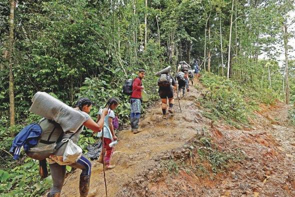 Migrantessuben una montaña con la intención de llegar a Panamá, en el Tapón del Darién. Migrantessuben una montaña con la intención de llegar a Panamá, en el Tapón del Darién.