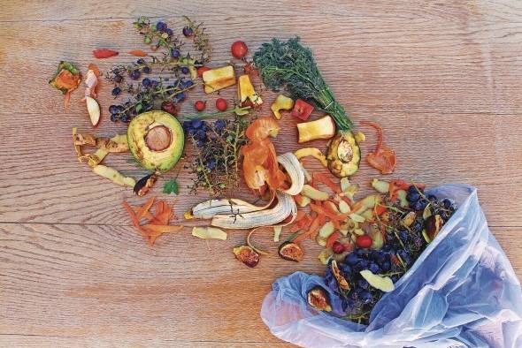 Según la FAO, en el mundo se desechan entre un tercio y un cuarto de todos los alimentos que se producen. Según la FAO, en el mundo se desechan entre un tercio y un cuarto de todos los alimentos que se producen.