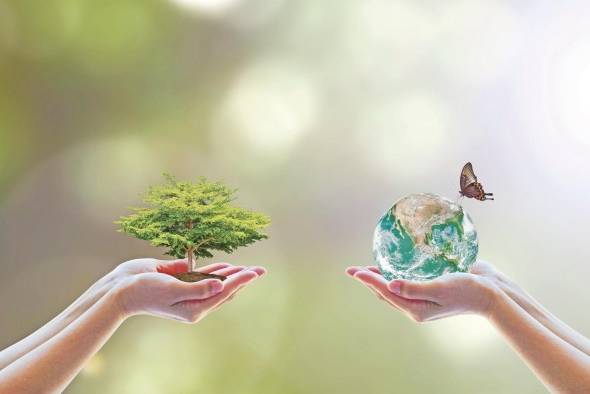 El concepto CAF podemos incorporarlo en ciudad de Panamá para impulsar las acciones de cambio climático como la captura de carbono azul. El concepto CAF podemos incorporarlo en ciudad de Panamá para impulsar las acciones de cambio climático como la captura de carbono azul.