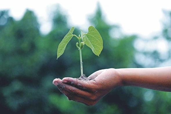 Lograr que la iniciativa de emprendimientos verdes se consolide en América Latina depende de contar con proveedores verdes, que incluyan en sus actividades la reducción del impacto ambiental. Lograr que la iniciativa de emprendimientos verdes se consolide en América Latina depende de contar con proveedores verdes, que incluyan en sus actividades la reducción del impacto ambiental.