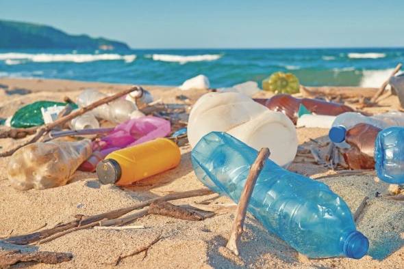 Uno de los grandes desafíos para controlar la contaminación del mar y de las zonas costeras es entender el ecosistema marino-costero. Uno de los grandes desafíos para controlar la contaminación del mar y de las zonas costeras es entender el ecosistema marino-costero.