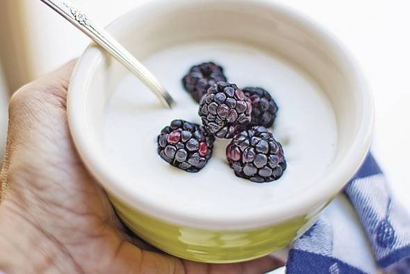 El consumo de alimentos como el yogur y el chucrut, que contienen probióticos, o la toma de suplementos de probióticos demostraron ser beneficiosos para la salud. El consumo de alimentos como el yogur y el chucrut, que contienen probióticos, o la toma de suplementos de probióticos demostraron ser beneficiosos para la salud.