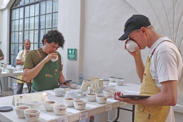 En la cata de cinco días, los jueces evaluaron 186 muestras de cafés especiales. En la cata de cinco días, los jueces evaluaron 186 muestras de cafés especiales.