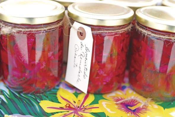 Un encurtido de remolacha picante con productos que iban a la basura. Un encurtido de remolacha picante con productos que iban a la basura.