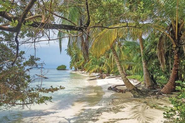Las playas de Panamá requieren muchas veces de una rigurosa limpieza. Las playas de Panamá requieren muchas veces de una rigurosa limpieza.
