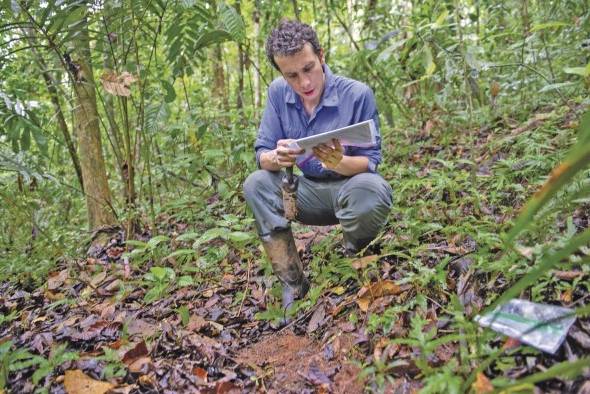 Camilo Zalamea recorre los senderos de la isla de Barro Colorado para recuperar semillas de especies que estudia para intentar entender la interacción entre ellas y los hongos. Camilo Zalamea recorre los senderos de la isla de Barro Colorado para recuperar semillas de especies que estudia para intentar entender la interacción entre ellas y los hongos.