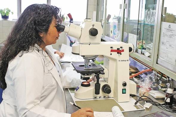 La intervención de las mujeres en la ciencia todavía enfrenta condicionantes de género. La intervención de las mujeres en la ciencia todavía enfrenta condicionantes de género.