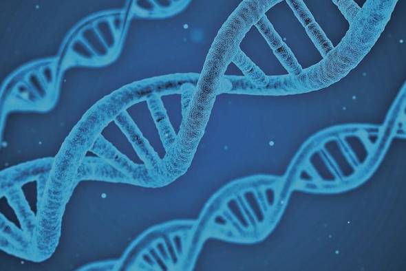 Este enfoque innovador se diferencia de los tratamientos farmacológicos tradicionales contra el cáncer Este enfoque innovador se diferencia de los tratamientos farmacológicos tradicionales contra el cáncer