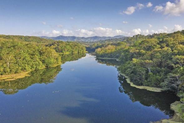 La reutilización del agua se plantea como una solución efectiva para combatir el estrés hídrico. La reutilización del agua se plantea como una solución efectiva para combatir el estrés hídrico.