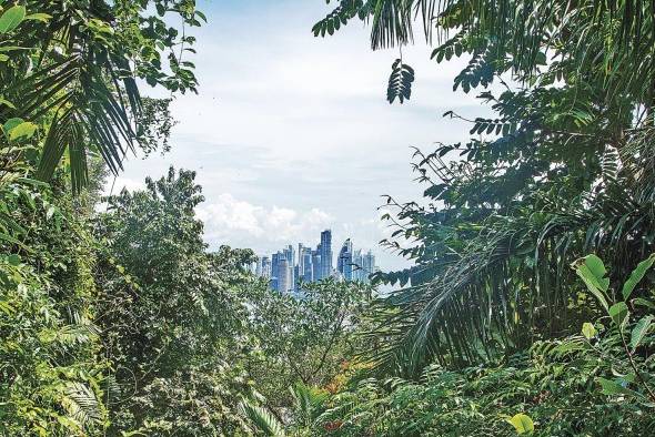 Se han identificado como sectores prioritarios para Panamá: la salud, la capacidad agroalimentaria, el cambio climático, la energía, la transformación digital y logística Se han identificado como sectores prioritarios para Panamá: la salud, la capacidad agroalimentaria, el cambio climático, la energía, la transformación digital y logística
