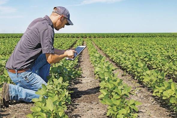 El sector agropecuario comenzará a usar plataformas tecnológicas móviles como celulares o 'tablets' para crear registros sanitarios. El sector agropecuario comenzará a usar plataformas tecnológicas móviles como celulares o 'tablets' para crear registros sanitarios.