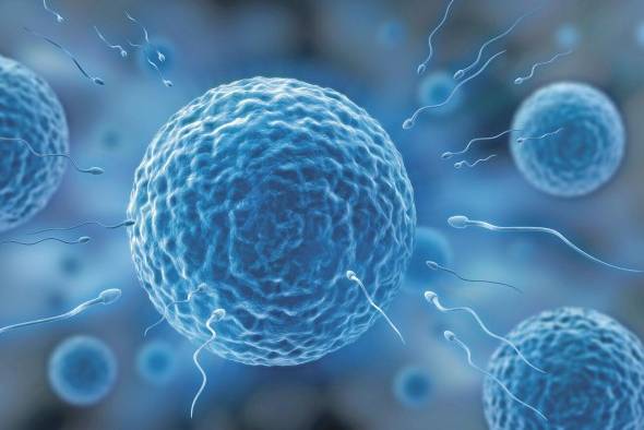 Beneficios de la terapia con células madre, y sus detractores Beneficios de la terapia con células madre, y sus detractores