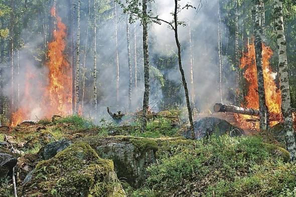 En Canadá, otro lugar de grandes incendios, ellos se transformaron en pocos días en un envenenamiento de la calidad del aire. En Canadá, otro lugar de grandes incendios, ellos se transformaron en pocos días en un envenenamiento de la calidad del aire.