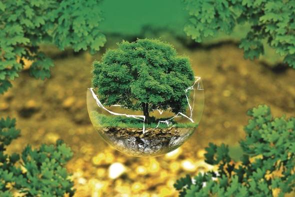 Los suelos recarbonizados pueden ser una solución frente a los retos del clima. Los suelos recarbonizados pueden ser una solución frente a los retos del clima.