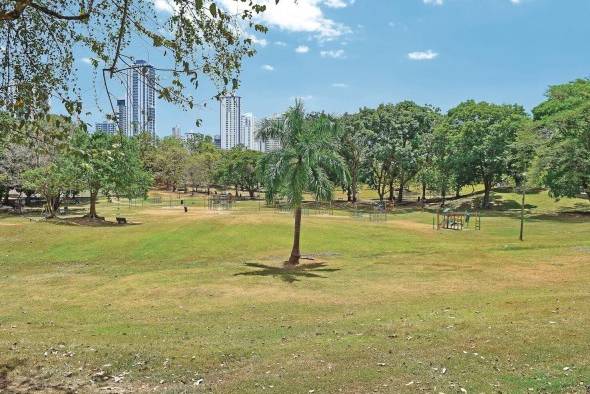 Alfaro señala que la OMS recomienda 10 a 15 metros de espacio abierto (parques) por habitante, y que “en Panamá tenemos dos y mal distribuidos”. Alfaro señala que la OMS recomienda 10 a 15 metros de espacio abierto (parques) por habitante, y que “en Panamá tenemos dos y mal distribuidos”.