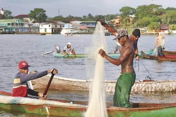 Los inventarios de la manifestaciones culturales inmateriales afrodescendientes para este proyecto deberán realizarse con la participación más amplia posible de las comunidades. Los inventarios de la manifestaciones culturales inmateriales afrodescendientes para este proyecto deberán realizarse con la participación más amplia posible de las comunidades.
