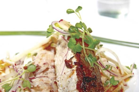 Corvina al horno con puré de papa, zanahoria y camote Corvina al horno con puré de papa, zanahoria y camote