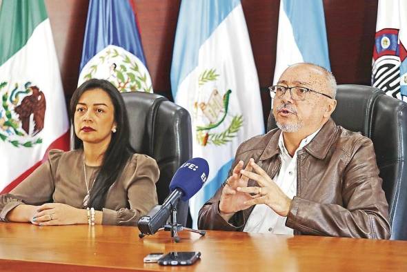 Raúl Rodas, director del Organismo Internacional Regional de Sanidad Agropecuaria, y Rosario Gómez, experta en cambio climático. Raúl Rodas, director del Organismo Internacional Regional de Sanidad Agropecuaria, y Rosario Gómez, experta en cambio climático.