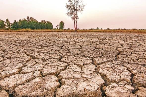 El Niño es un fenómeno natural caracterizado por el calentamiento anormal de la temperatura superficial del mar. El Niño es un fenómeno natural caracterizado por el calentamiento anormal de la temperatura superficial del mar.