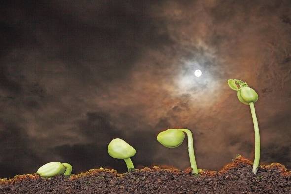 Tradicionalmente el sector agrícola a utilizado la luna y los astros, para determinar cuando sembrar. Tradicionalmente el sector agrícola a utilizado la luna y los astros, para determinar cuando sembrar.