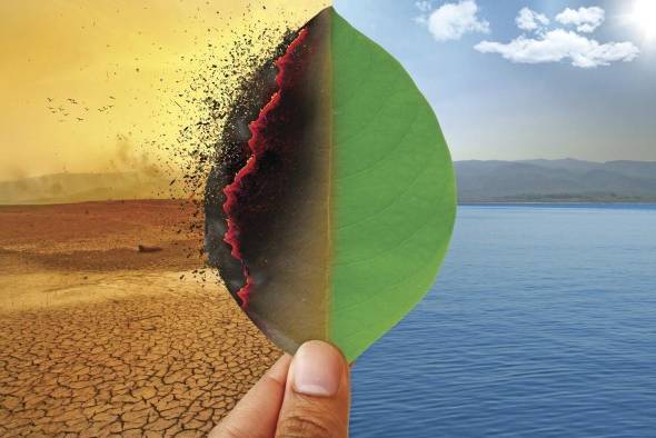 Las muertes relacionadas a olas de calor han aumentado en un 54 % en las últimas dos décadas. Solamente en 2019, se perdieron 380,000 millones de horas de trabajo debido a las temperaturas excesivas, comparado con los 580,000 millones por covid en 2020. Las muertes relacionadas a olas de calor han aumentado en un 54 % en las últimas dos décadas. Solamente en 2019, se perdieron 380,000 millones de horas de trabajo debido a las temperaturas excesivas, comparado con los 580,000 millones por covid en 2020.