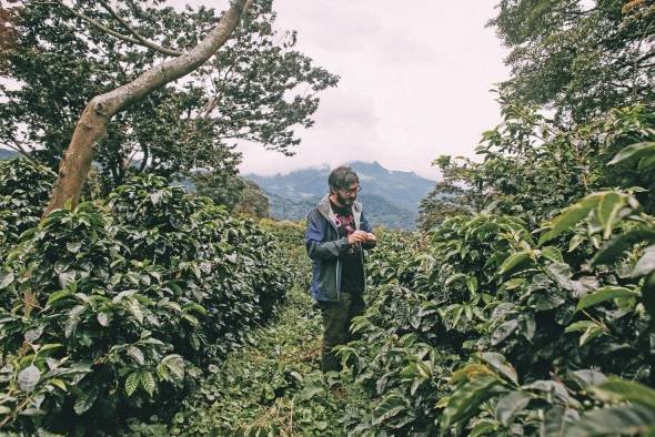 'Panamá, para ser un país tan chico, cuenta con una gran diversidad de cafés y de muy buena calidad', asegura Bemúdez. 'Panamá, para ser un país tan chico, cuenta con una gran diversidad de cafés y de muy buena calidad', asegura Bemúdez.