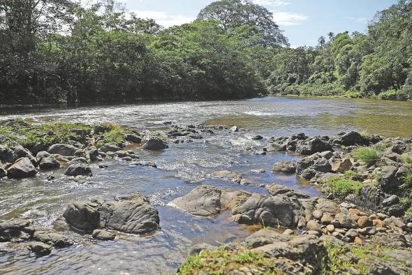 Las aguas del río San Juan, en el distrito Omar Torrijos Herrera, provincia de Colón. Este afluente es monitoreado. Las aguas del río San Juan, en el distrito Omar Torrijos Herrera, provincia de Colón. Este afluente es monitoreado.
