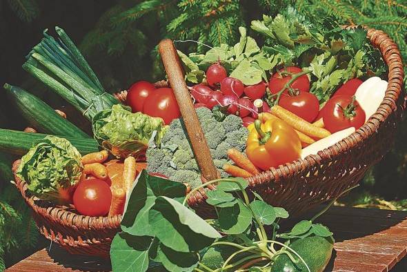 Lave cuidadosamente los alimentos que se comen crudos, como las lechugas. Lave cuidadosamente los alimentos que se comen crudos, como las lechugas.