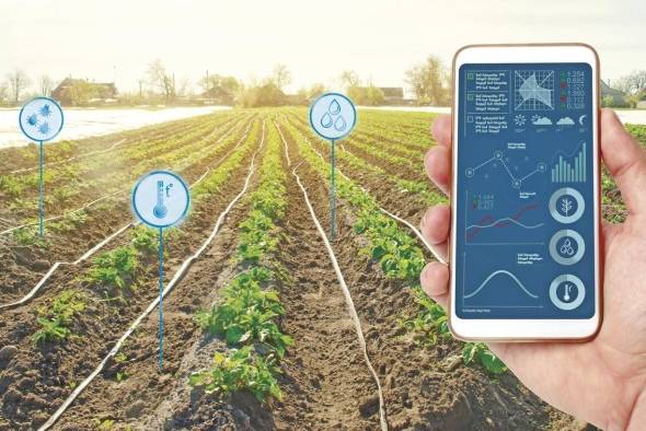Digitalización en la agricultura: transformación inminente del sistema agroalimentario Digitalización en la agricultura: transformación inminente del sistema agroalimentario