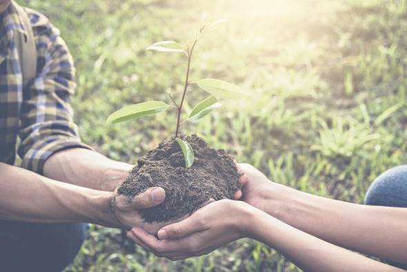 En la región se han tomado medidas para combatir la problemática de la deforestación. En la región se han tomado medidas para combatir la problemática de la deforestación.
