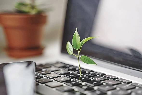 El 70% de las empresas en países en desarrollo han hecho una transición 'verde'. El 70% de las empresas en países en desarrollo han hecho una transición 'verde'.