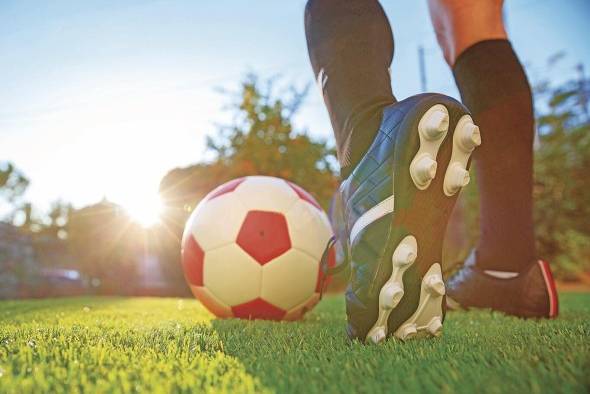 La encuesta realizada por Afutpa recalcó que solo el 6% de los jugadores de primera división ha llegado a la etapa de estudios superiores. La encuesta realizada por Afutpa recalcó que solo el 6% de los jugadores de primera división ha llegado a la etapa de estudios superiores.