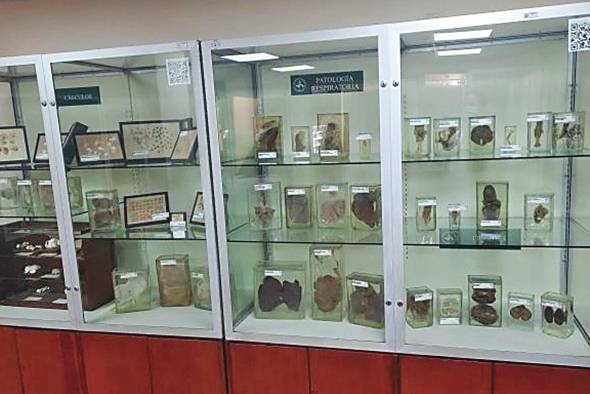El museo es considerado un patrimonio histórico para la comunidad universitaria El museo es considerado un patrimonio histórico para la comunidad universitaria
