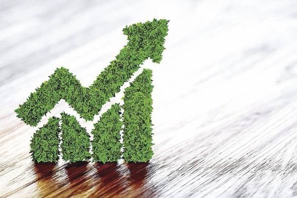 Esta tendencia viene de la demanda de los consumidores por productos ecológicos. Esta tendencia viene de la demanda de los consumidores por productos ecológicos.