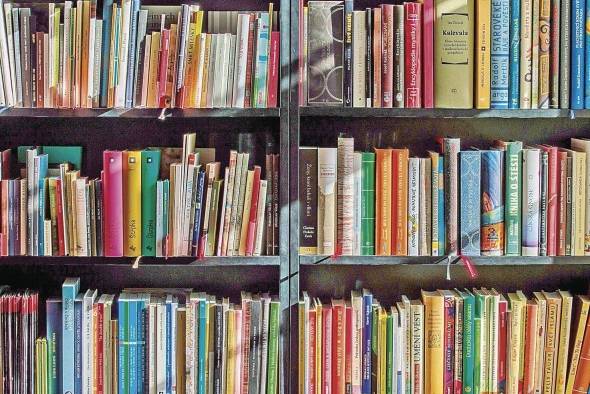 “La lectura es un derecho fundamental”, afirmó rotundamente Enrique Noel. “La lectura es un derecho fundamental”, afirmó rotundamente Enrique Noel.