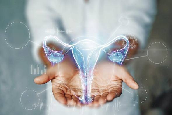 Según los expertos, la obesidad tiene claros efectos en la dinámica sexual. Según los expertos, la obesidad tiene claros efectos en la dinámica sexual.