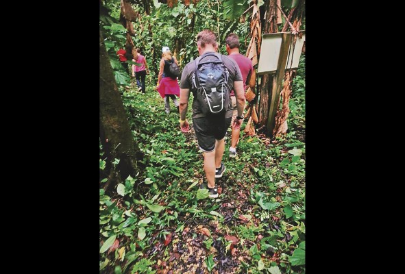 Hacer senderismo o caminata permite observar la diversidad de flora y fauna. Hacer senderismo o caminata permite observar la diversidad de flora y fauna.