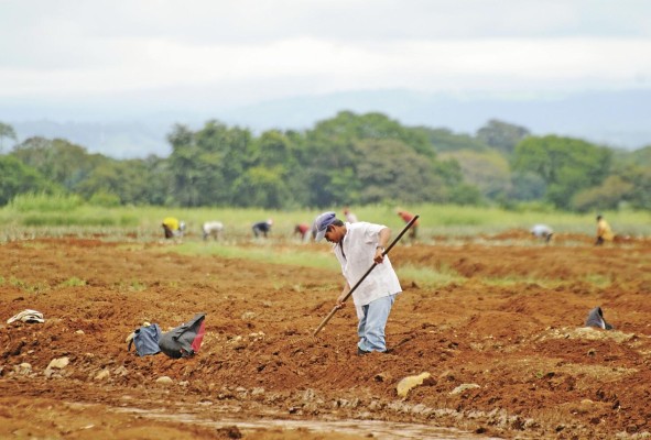Los principales destinos de los bienes exportables de Panamá son: China, Japón, Corea del sur, Alemania, India, Bulgaria, Estados Unidos, Países Bajos, España, Canadá. Los principales destinos de los bienes exportables de Panamá son: China, Japón, Corea del sur, Alemania, India, Bulgaria, Estados Unidos, Países Bajos, España, Canadá.