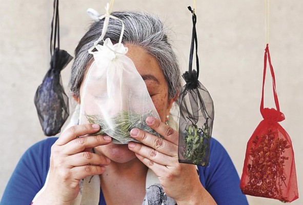 La exposición ofrece la oportunidad de percibir aromas de lavanda y romero La exposición ofrece la oportunidad de percibir aromas de lavanda y romero