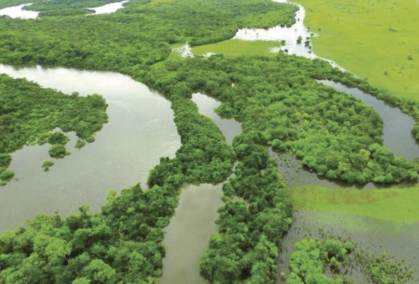 Panamá cuenta con áreas extensas que permiten el diseño de corredores biológicos para la conservación de especies. Panamá cuenta con áreas extensas que permiten el diseño de corredores biológicos para la conservación de especies.