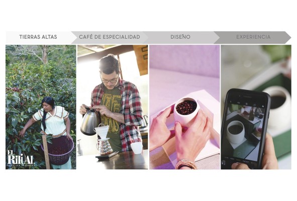 Se busca dar a conocer todo el proceso involucrado en la producción del café Se busca dar a conocer todo el proceso involucrado en la producción del café