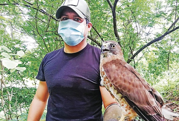 Rolando Robles es un adulto apasionado por las aves Rolando Robles es un adulto apasionado por las aves