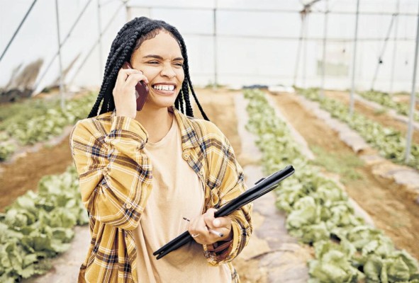 En Centroamérica la mayor proporción de mujeres trabajan fuera del campo, en las actividades no agrícolas. En Centroamérica la mayor proporción de mujeres trabajan fuera del campo, en las actividades no agrícolas.