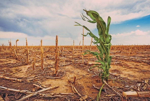 Este sexto ciclo resalta que los riesgos asociados al cambio climático se incrementarán y se harán más complejos de gestionar en la medida en que superemos el umbral de 1.5° C. Este sexto ciclo resalta que los riesgos asociados al cambio climático se incrementarán y se harán más complejos de gestionar en la medida en que superemos el umbral de 1.5° C.