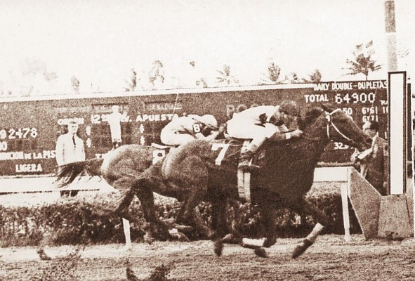 'Victoreado', de Venezuela, ganador del primer Clásico del Caribe. 'Victoreado', de Venezuela, ganador del primer Clásico del Caribe.